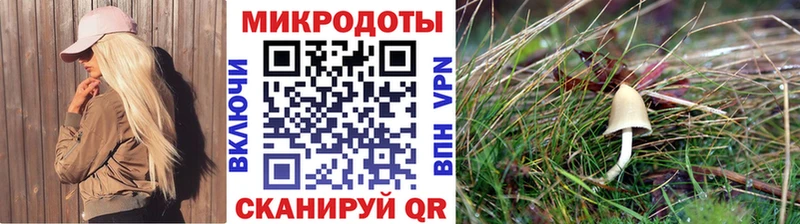 Псилоцибиновые грибы прущие грибы  Бийск 